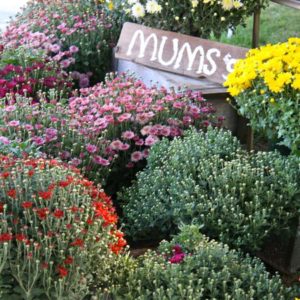 The Sandpoint, Idaho Farmers Market