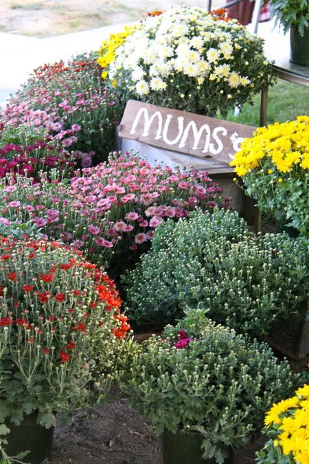 The Sandpoint, Idaho Farmers Market