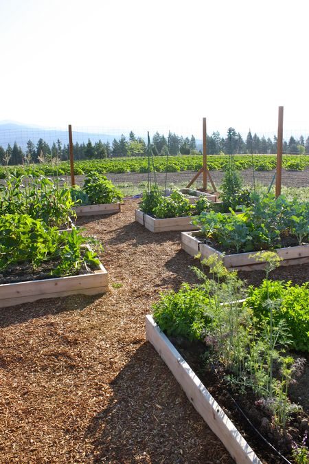 Creating a Raised Bed Fenced Garden