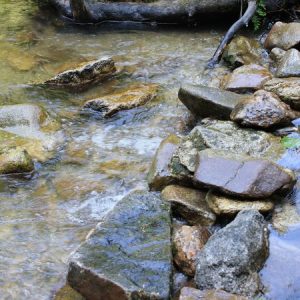 The Swimming Hole
