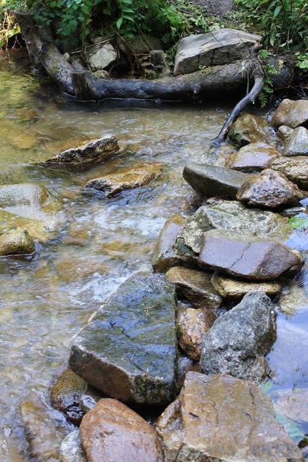 The Swimming Hole
