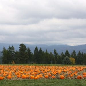 Enjoying Fall at the Thompson’s