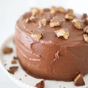 Melt-in-Your-Mouth Milk Chocolate Peanut Butter Cup Cake