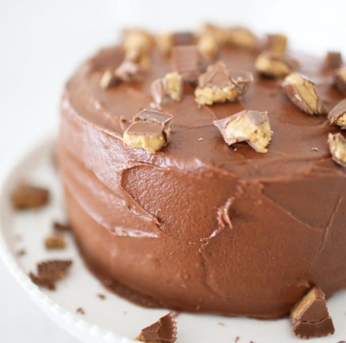Melt-in-Your-Mouth Milk Chocolate Peanut Butter Cup Cake