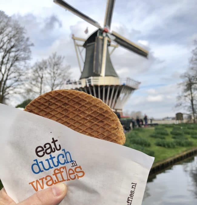 Amsterdam on a Viking River Cruise