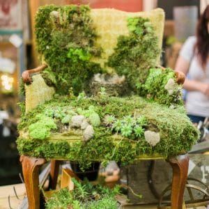 Images From The Farm Chicks Fair 2017