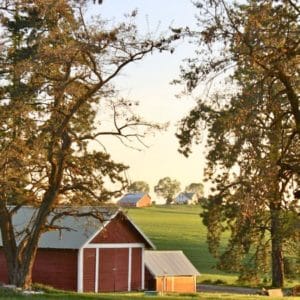 How to Find the Perfect Barn Red Paint Color