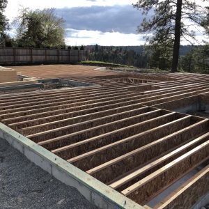 House Progress Update – Framing