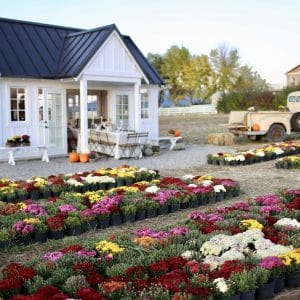 Creatives Autumn Farmhouse Dinner
