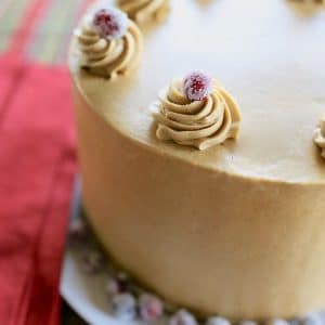 Christmas Gingerbread Cake