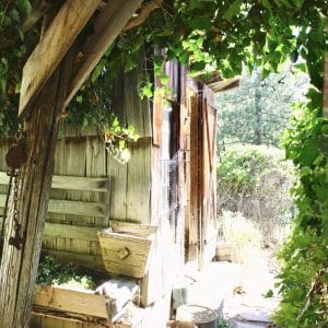 My Early Years of Isolation